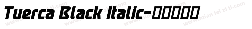 Tuerca Black Italic字体转换